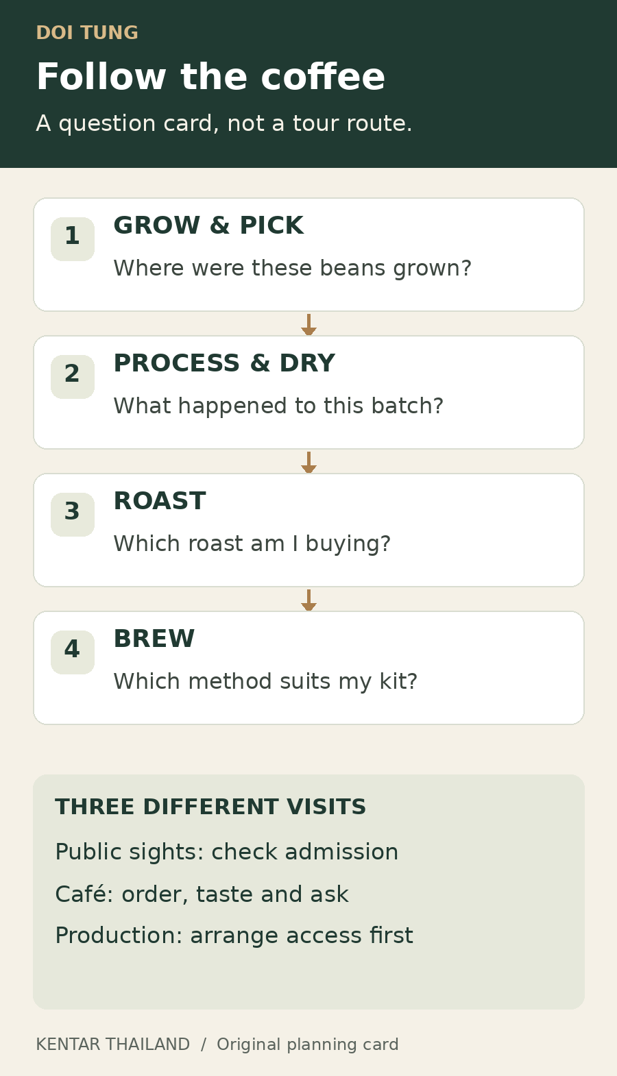 Doi Tung coffee question card: grow and pick, where from; process and dry, how handled; roast, which batch; brew, which method. Check public admission, ask at the café and arrange production access separately.