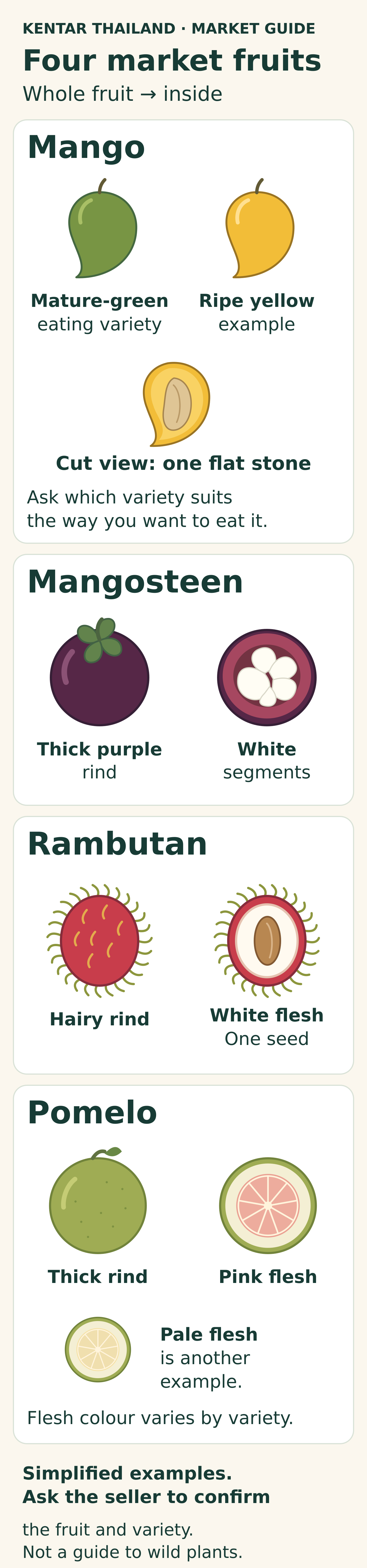 Whole and opened examples of mango, mangosteen, rambutan and pomelo, separating flesh from the stone, seed or rind; mango examples distinguish mature-green eating varieties from ripe yellow fruit.